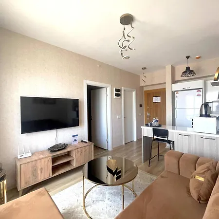 Classic Ts22 Apartmán Istanbulská provincie