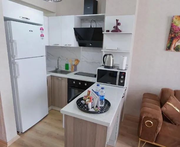 Classic Ts22 Apartment *